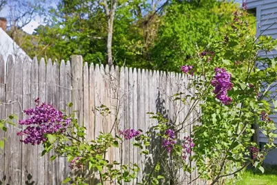 45 First St, Chelmsford, MA 01824 - Photo 31