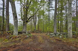 Lot 3F Petersham Rd, Phillipston, MA 01331 - Photo 1