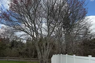 12 Dupont Dr, Mattapoisett, MA 02739 - Photo 3
