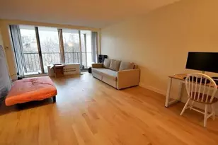 33 Pond Ave, Brookline, MA 02445 - Photo 3