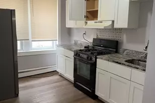 150 Walnut Ave, Boston, MA 02119 - Photo 9