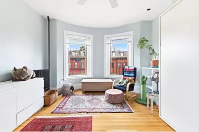 155 West Concord, Boston, MA 02118 - Photo 29