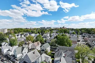 32 Cushman Rd, Boston, MA 02135 - Photo 29