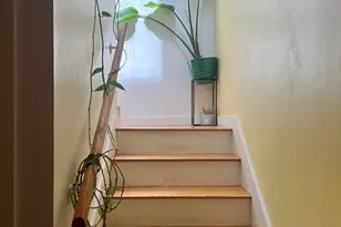 5 Fort Washington Pl, Cambridge, MA 02139 - Photo 5
