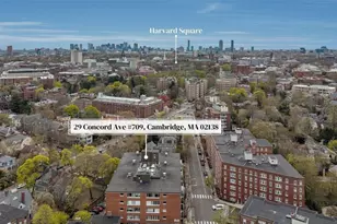 29 Concord Ave, Cambridge, MA 02138 - Photo 17