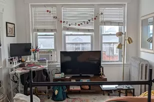 46 West Newton, Boston, MA 02118 - Photo 9