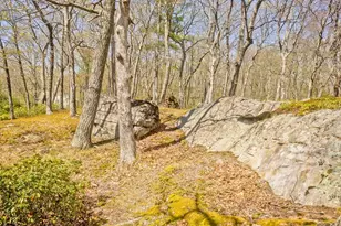 7 Mt Hitchcock Rd, Wales, MA 01081 - Photo 31