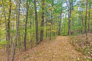 70 Wilsondale St, Dover, MA 02030 - Photo 5