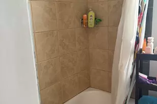 19 Wolcott St, Boston, MA 02121 - Photo 5