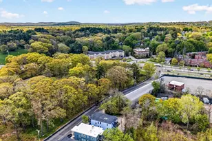 319 Forest Hills St, Boston, MA 02130 - Photo 33