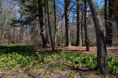 51 Turning Mill Rd, Lexington, MA 02420 - Photo 29