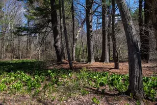 51 Turning Mill Rd, Lexington, MA 02420 - Photo 29
