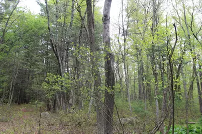 Parcel D Prentice Street, Holliston, MA 01746 - Photo 3