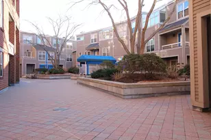 20 Chestnut St, Cambridge, MA 02139 - Photo 17