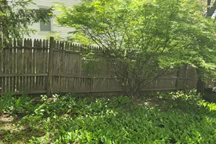 295 West St, Boston, MA 02136 - Photo 9