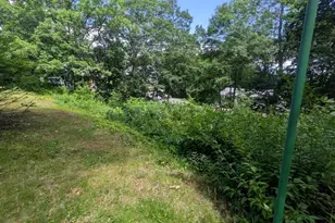 22 Vernon St, Boston, MA 02136 - Photo 25