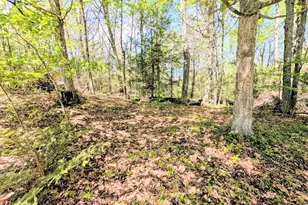51 Russell Stage Rd, Blandford, MA 01008 - Photo 15