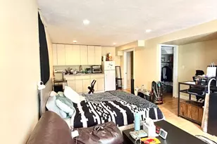 252 Mason Terrace, Brookline, MA 02446 - Photo 3