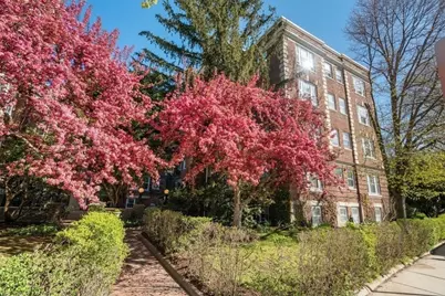 41 Linnaean St #43, Cambridge, MA 02138 - Photo 27