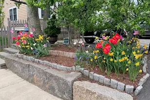 10 Roberts, Somerville, MA 02145 - Photo 15
