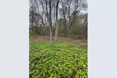 251 Cox St, Hudson, MA 01749 - Photo 39