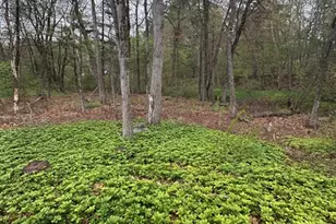 251 Cox St, Hudson, MA 01749 - Photo 39