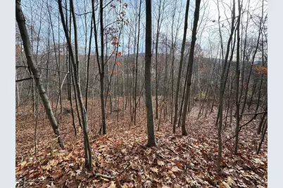 Tbd Lower Road, Deerfield, MA 01342 - Photo 7