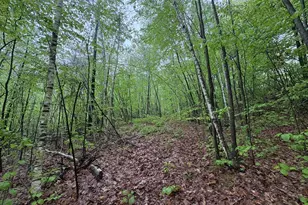 Tbd Lower Rd, Deerfield, MA 01342 - Photo 1