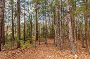 23 Birches Rd, Hubbardston, MA 01452 - Photo 37