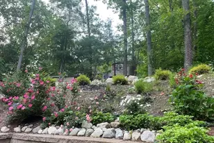 29 Dewey Rd, Lexington, MA 02420 - Photo 35