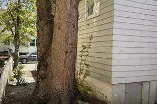13 Nashua St, Somerville, MA 02145 - Photo 23