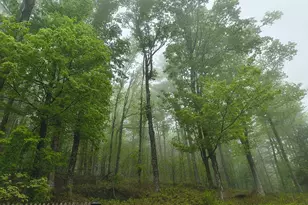 211 West St, Worthington, MA 01098 - Photo 21