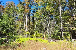 Lot "B" Beulah Land Rd, Blandford, MA 01008 - Photo 1