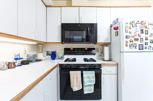 20 Chestnut St, Cambridge, MA 02139 - Photo 7