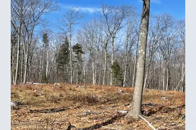 88 Church Rd, Florida, MA 01247 - Photo 3