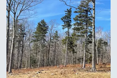 88 Church Rd, Florida, MA 01247 - Photo 5