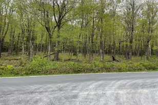 174 Tilda Hill Rd, Florida, MA 01247 - Photo 1