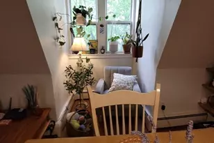 138 W Concord, Boston, MA 02118 - Photo 7