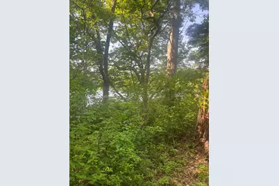 0 Morse St, Halifax, MA 02338 - Photo 3