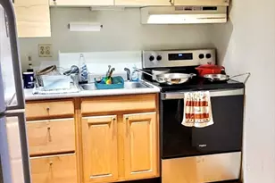47 East Springfield, Boston, MA 02118 - Photo 5