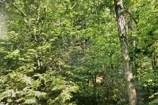 349 SW Main St, Douglas, MA 01516 - Photo 7