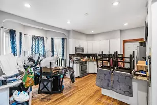 50 Perrin St, Boston, MA 02119 - Photo 15