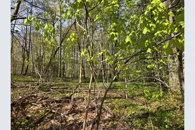 Lot 12W Chicopee Drive, Hubbardston, MA 01452 - Photo 1