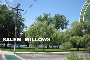 14 Lynde St, Salem, MA 01970 - Photo 39