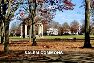 14 Lynde St, Salem, MA 01970 - Photo 41