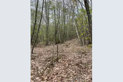 Lots 1 & 2 Richmond Road, Warwick, MA 01378 - Photo 11