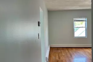 21 Collings St, Boston, MA 02136 - Photo 9