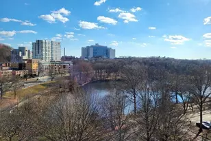 33 Pond Ave, Brookline, MA 02445 - Photo 13