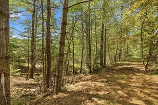 40 Kristin Rd, Plymouth, MA 02360 - Photo 33