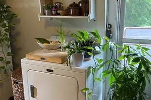 607 E 7th St, Boston, MA 02127 - Photo 21